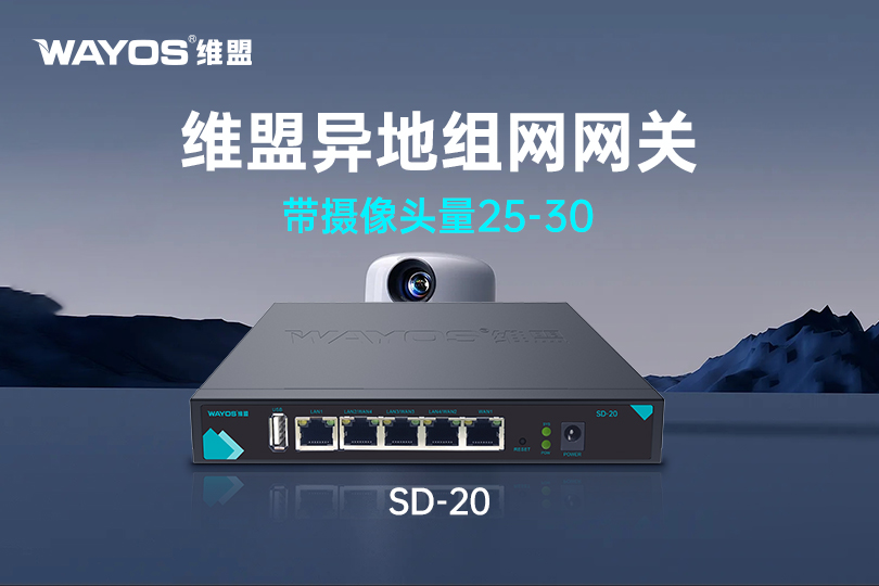 SD-20维盟异地组网网关