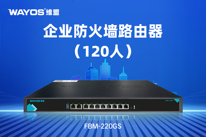 FBM-220GS企业防火墙路由器