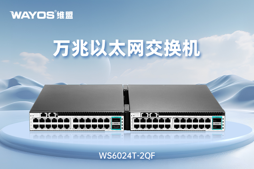 WS6024T-2QF